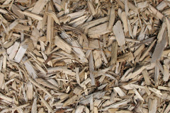 biomass boilers Broadgreen Wood